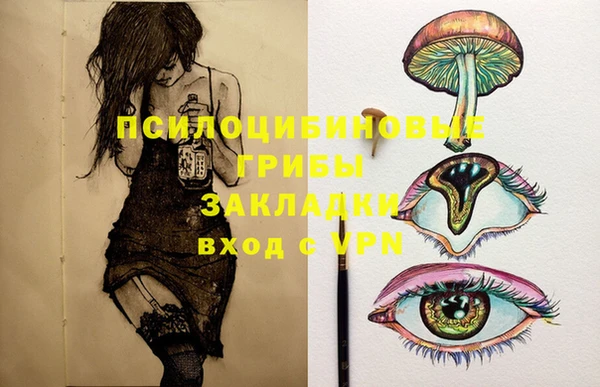 спиды Абдулино