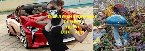 мескалин Абаза