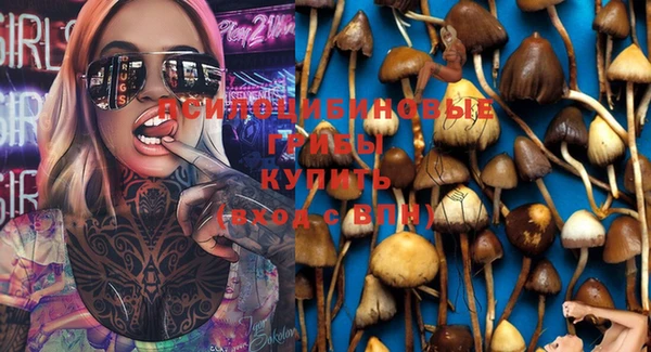 таблы Абинск
